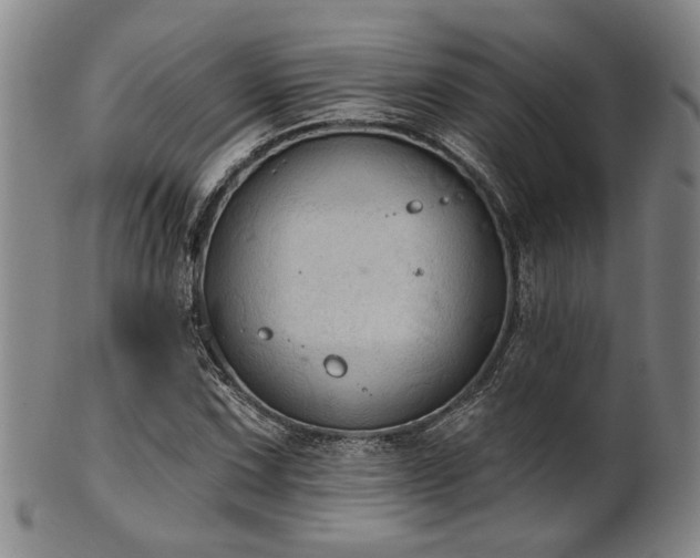 X0000102461067200808081222