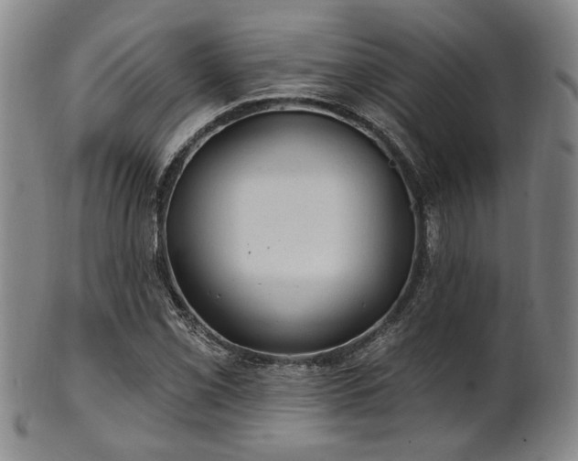 X0000102461069200808081222