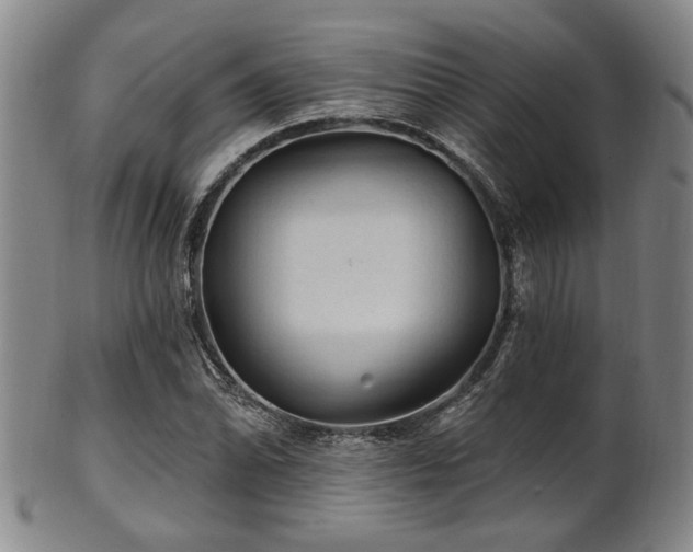 X0000102461070200808081222