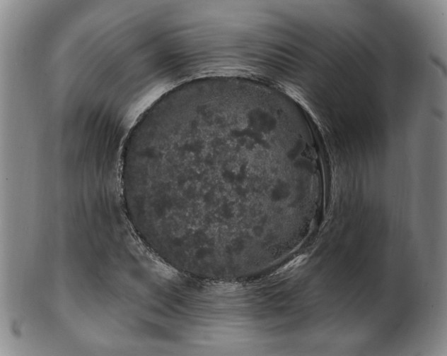 X0000102461071200808081222