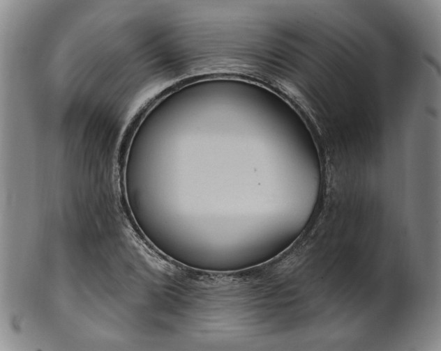X0000102461072200808081222