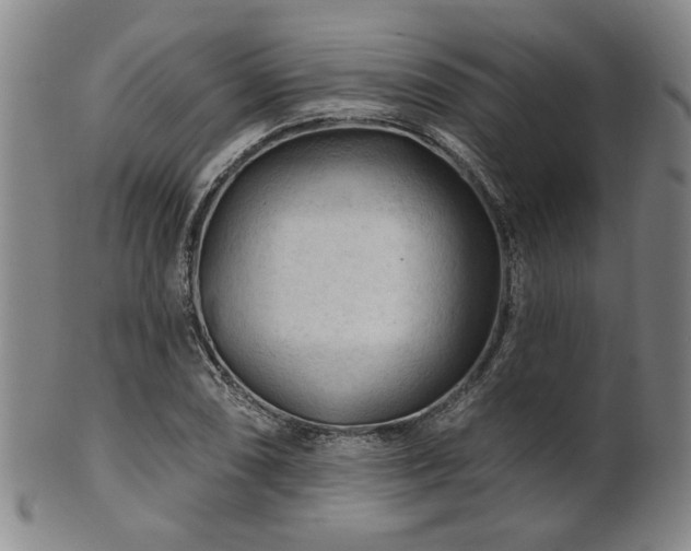 X0000102461074200808081222