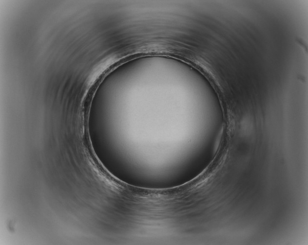 X0000102461075200808081222