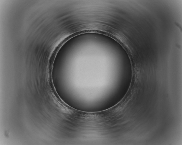 X0000102461076200808081222
