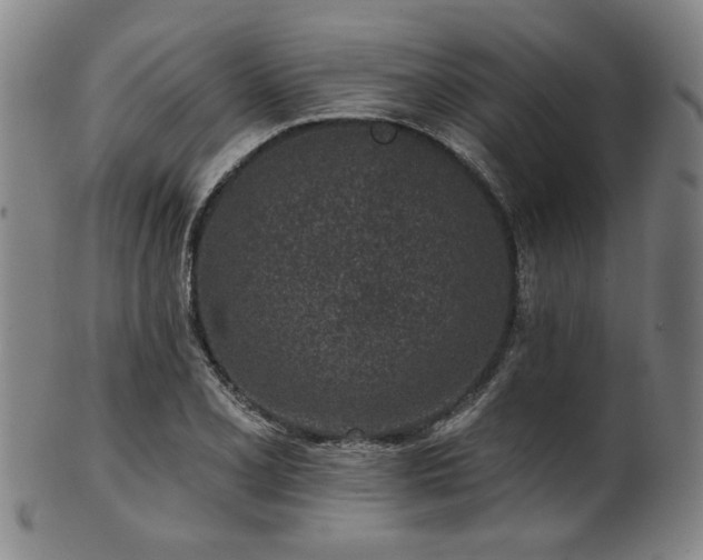 X0000102461077200808081222