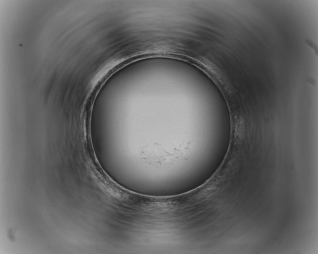 X0000102461078200808081222