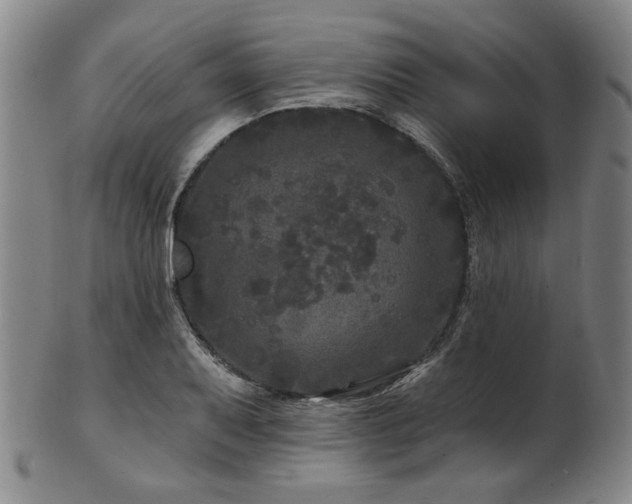 X0000102461079200808081222