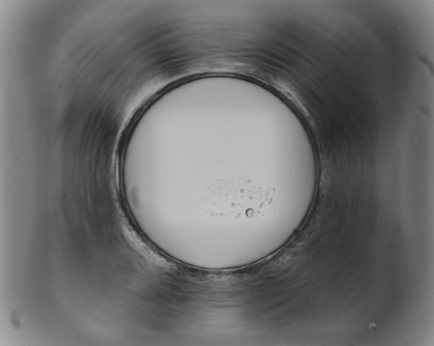 X0000102461080200808081222
