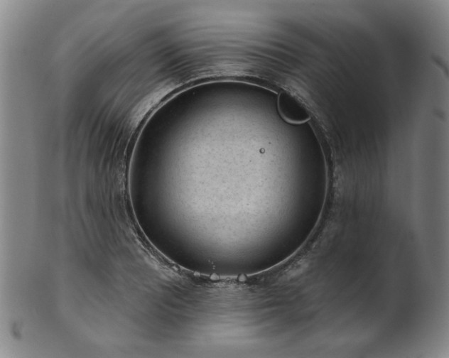 X0000102461081200808081222