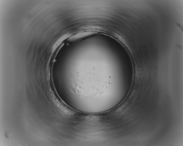 X0000102461082200808081222