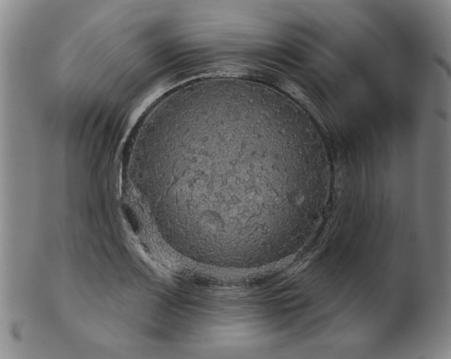 X0000102461083200808081222