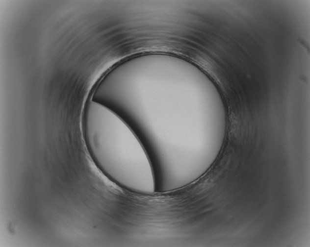 X0000102461084200808081222