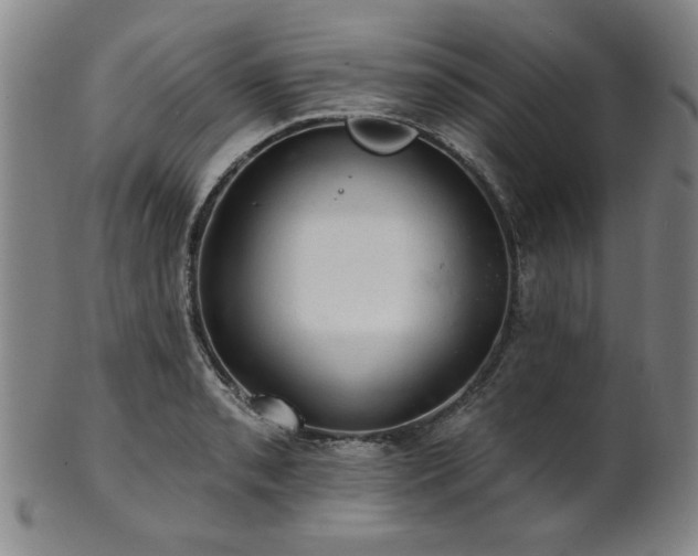 X0000102461085200808081222