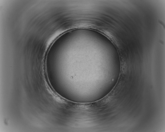 X0000102461086200808081222