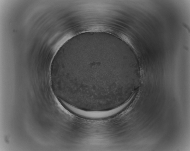 X0000102461087200808081222