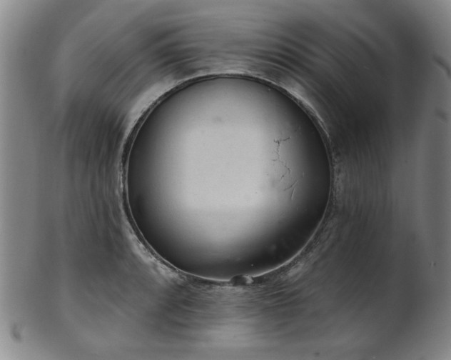 X0000102461088200808081222