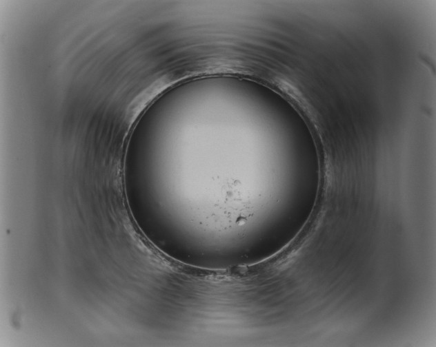 X0000102461089200808081222