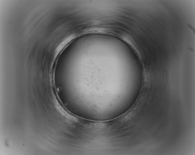 X0000102461090200808081222