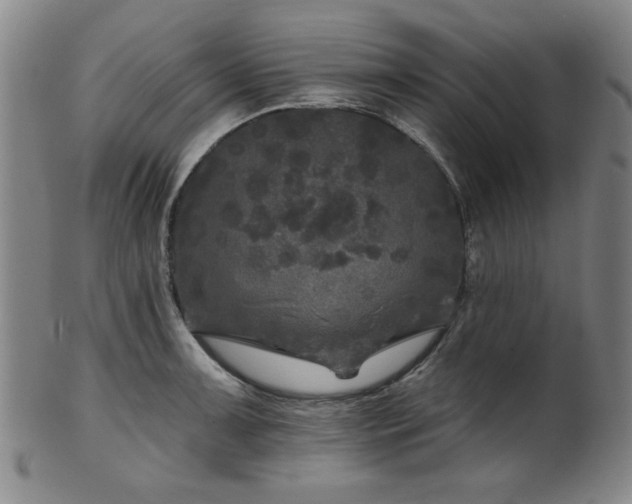 X0000102461091200808081222