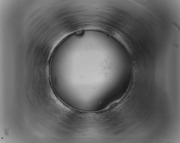 X0000102461092200808081222