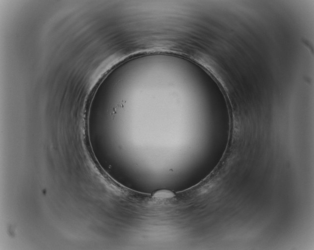 X0000102461093200808081222