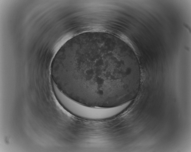 X0000102461095200808081222