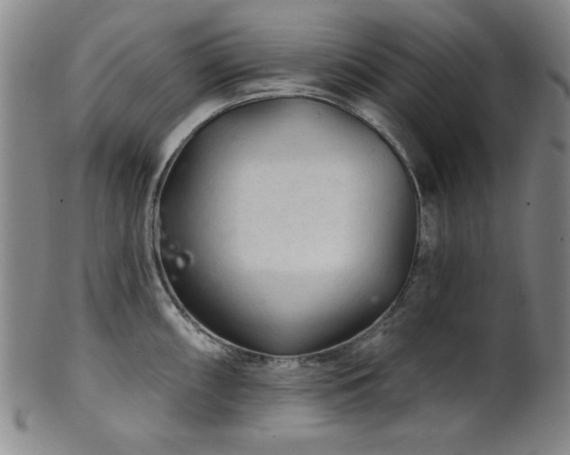X0000102461098200808081222