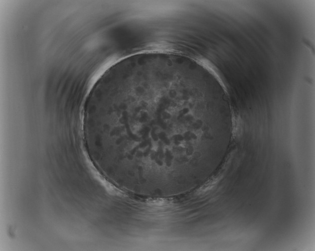 X0000102461099200808081222