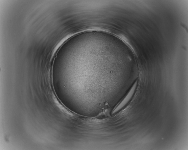 X0000102461100200808081222