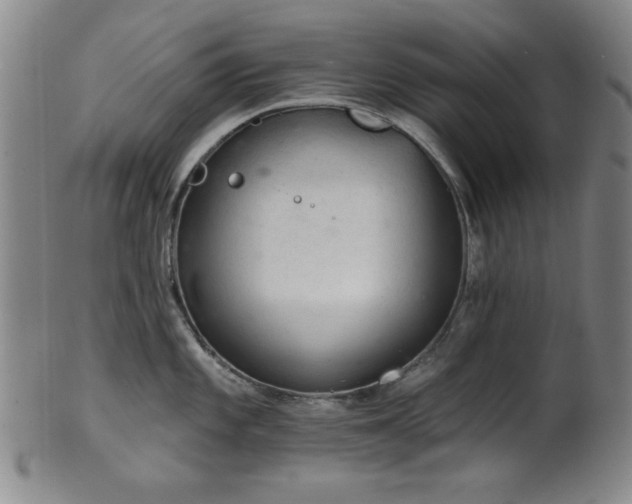 X0000102461101200808081222