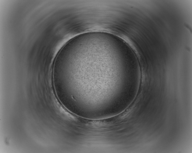 X0000102461102200808081222