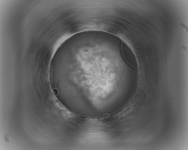 X0000102461104200808081222