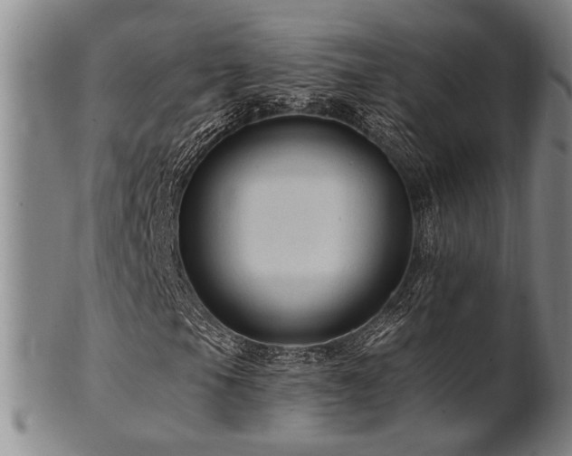 X0000102461105200808081221