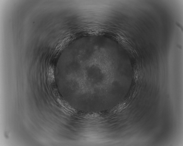X0000102461106200808081221