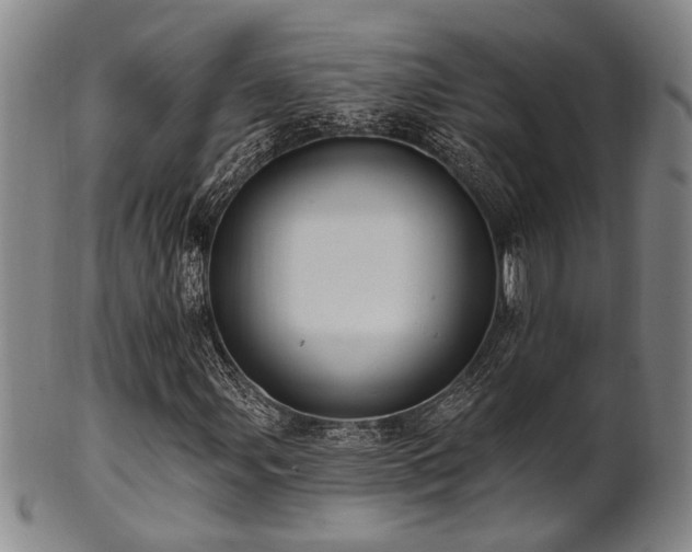 X0000102461107200808081221