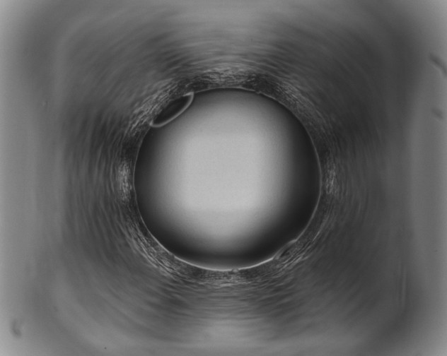 X0000102461108200808081221