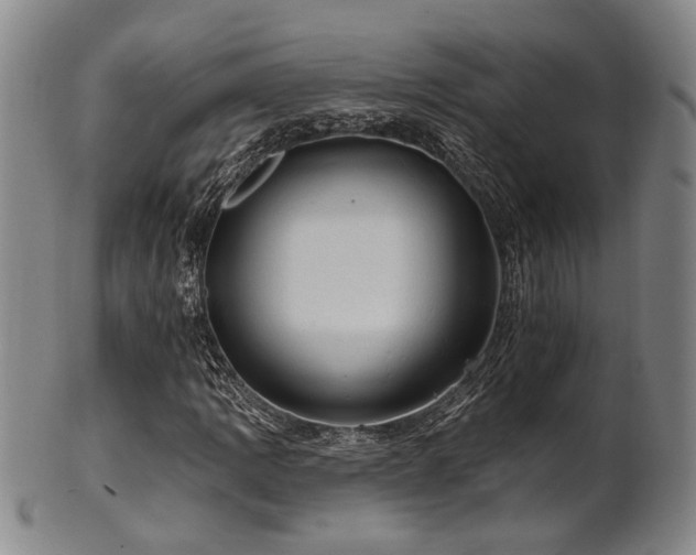 X0000102461109200808081221