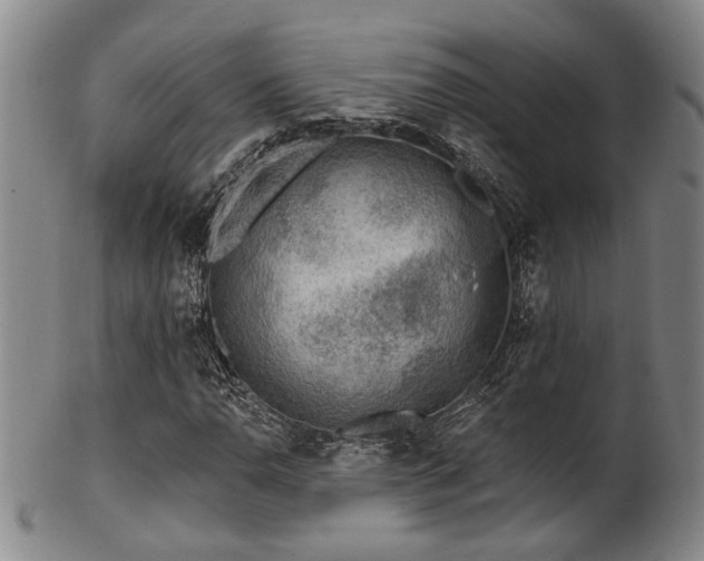 X0000102461110200808081221