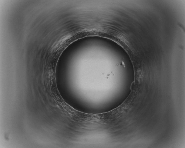 X0000102461111200808081221