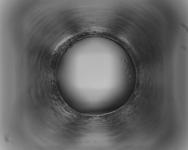 X0000102461112200808081221