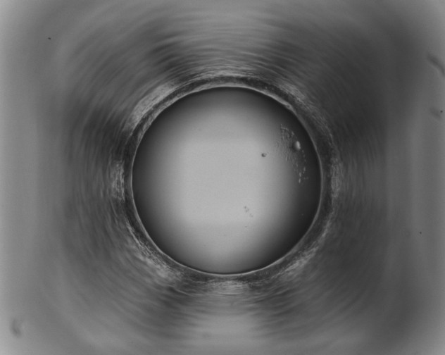 X0000102461113200808081221
