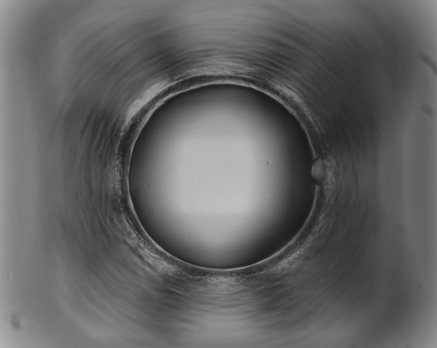 X0000102461114200808081221
