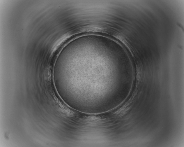 X0000102461115200808081221
