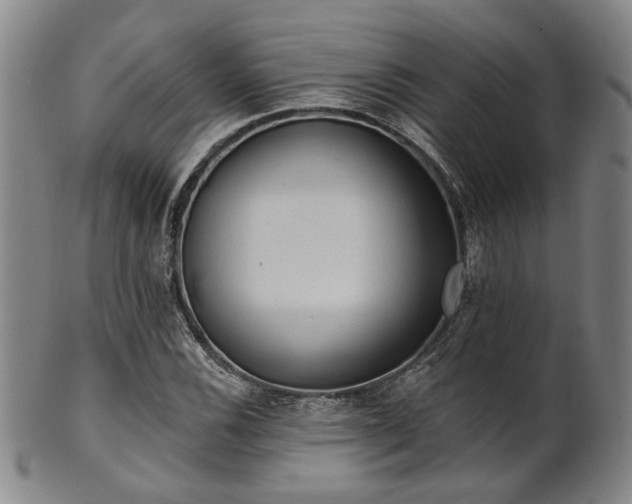 X0000102461116200808081221