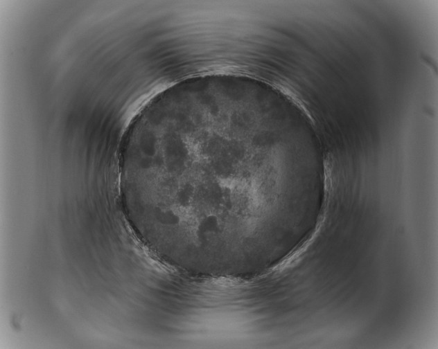 X0000102461117200808081221
