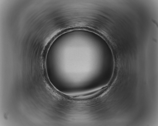 X0000102461118200808081221