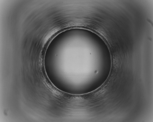 X0000102461119200808081221