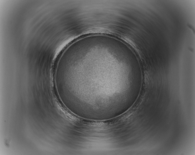 X0000102461120200808081221