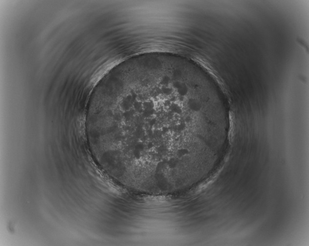 X0000102461121200808081221