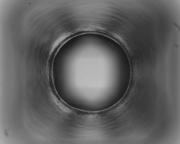 X0000102461122200808081221